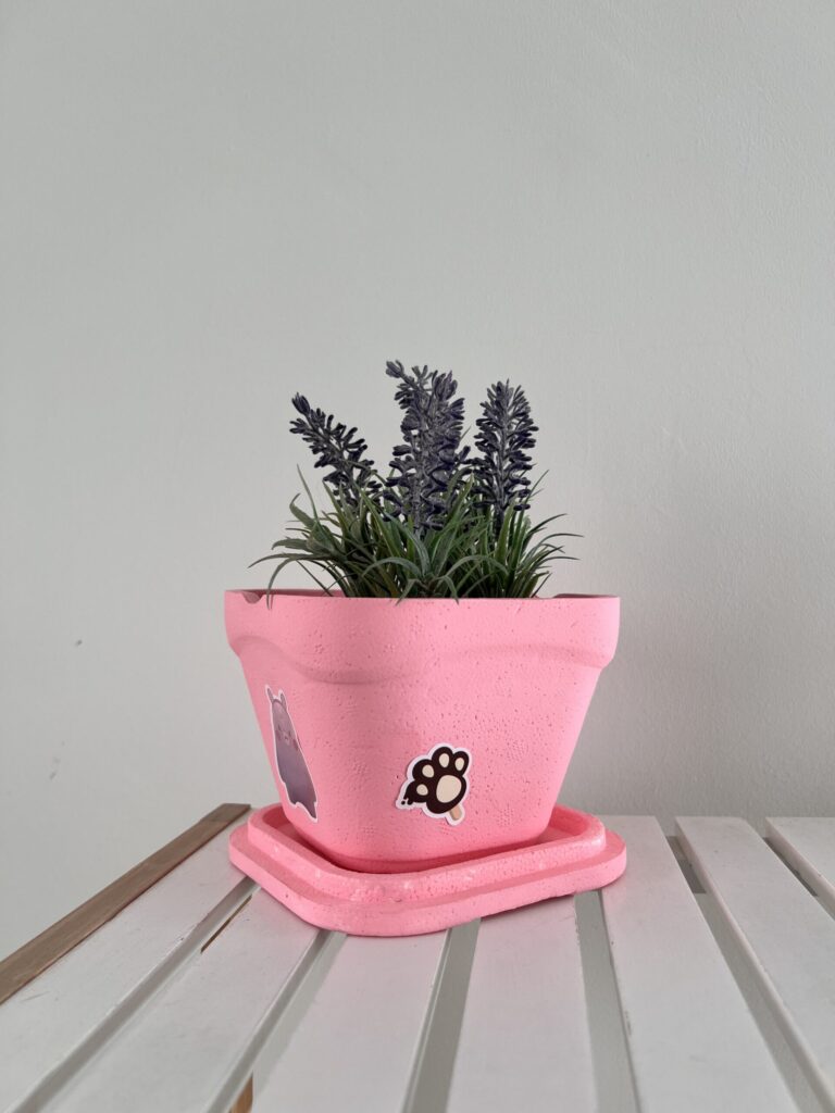 reciclar pote helado